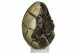 Septarian Dragon Egg Geode - Black Crystals #172805-1